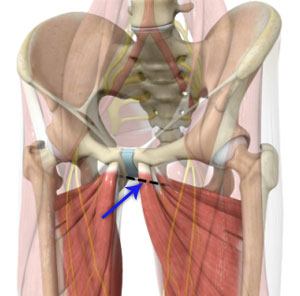 Adductor De-Tensioning