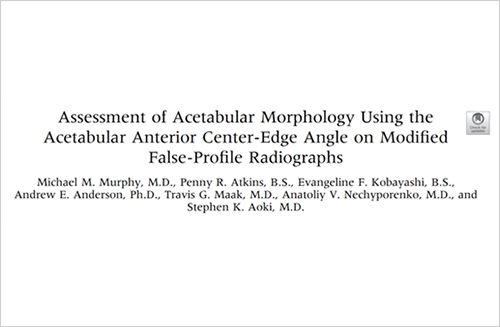 Assessment of Acetabular Morphology Using the Acetabular Anterior Centre-Edge Angle on Modified False-Profile Radiographs