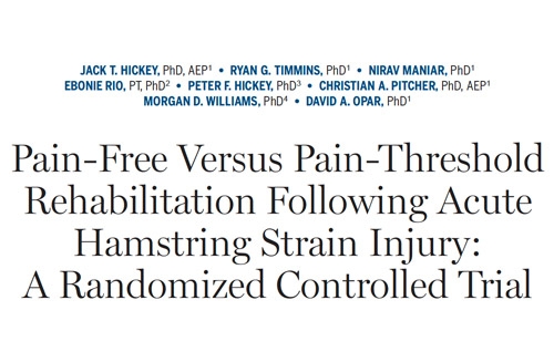 Pain-Free Versus Pain-Threshold Rehabilitation Following Acute Hamstring Strain Injury: A Randomized Controlled Trial