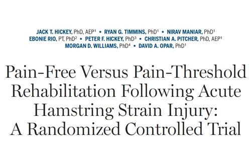 Pain-Free Versus Pain-Threshold Rehabilitation Following Acute Hamstring Strain Injury: A Randomized Controlled Trial